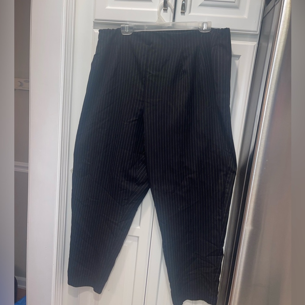 Worthington‎ Woman’s Plus Size Black White Striped Pants Stretch 22W